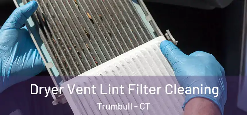  Dryer Vent Lint Filter Cleaning Trumbull - CT