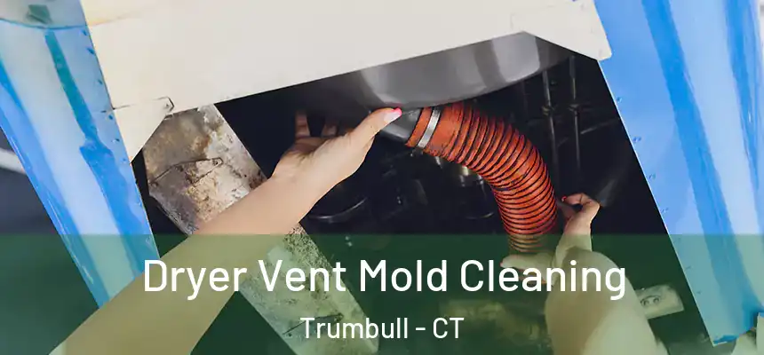 Dryer Vent Mold Cleaning Trumbull - CT