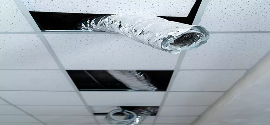 Affordable HVAC Sanitizing After Pest Removal in Trumbull