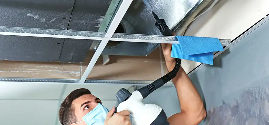 Our Air Duct Rodent Removal Services in Trumbull, CT