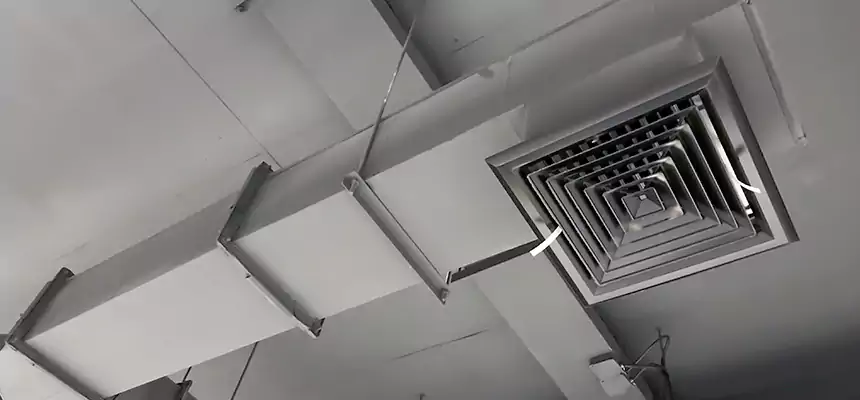 Our Rodent Droppings In Vents Services in Trumbull, CT