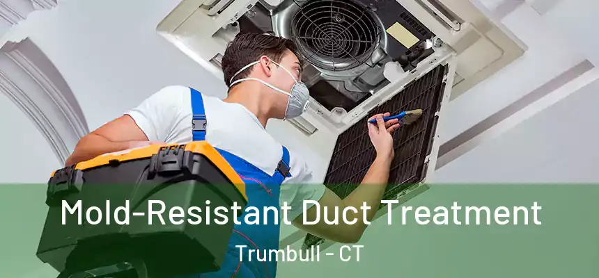  Mold-Resistant Duct Treatment Trumbull - CT
