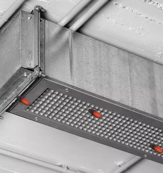 About Air Duct Cockroach Removal in Trumbull, CT