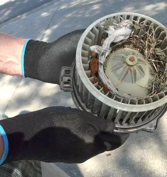 About Air Duct Mice Removal in Trumbull, CT