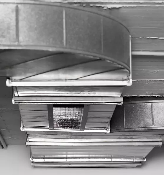 Professional Air Duct Pest Removal in Trumbull, CT