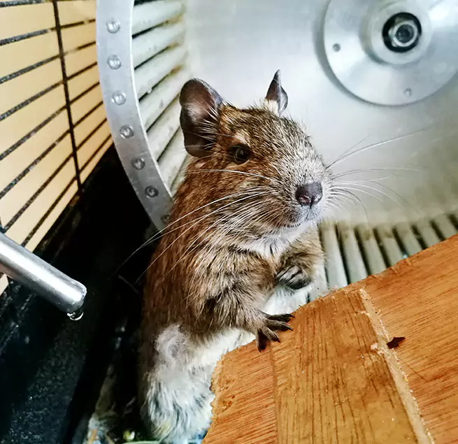 Why Homeowners & Businesses Trust Us Trumbull, CT