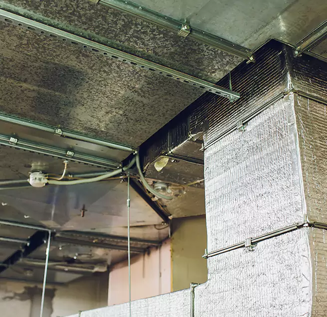 Why Homeowners & Businesses Trust Us in Trumbull, CT?